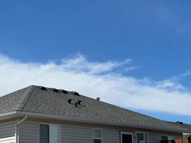 Best Gutter Installation and Repair  in Wyoming, MN